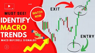 Most Effective MACD Strategy for Macro Trends (High Winrate Strategy)