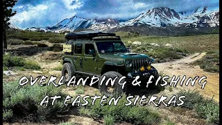 Overlanding & Fishing at Eastern Sierras