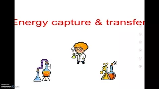 12-8 AP17 Photosynthesis Lab Explanation