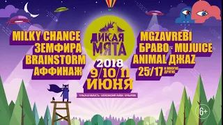 Дикая Мята 2018 Афиша 5сек (6+)