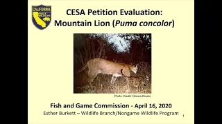 California Fish & Game Commission Meeting: April 16, 2020