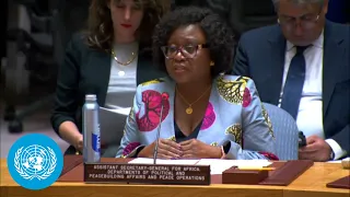 Sudan Conflict: Urgent Need for Negotiated Resolution | Security Council | United Nations