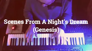 Scenes From A Night's Dream (Genesis)