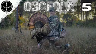 A WILLING FLORIDA GOBBLER | HUNTING PUBLIC LAND with WET FEET | COOLER WEATHER RESULTS- Pinhoti 2024