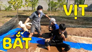 Anh Tư TV: CATCH DUCK | BỊT MẮT BẮT VỊT