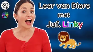 Leer van Diere | Plaasdiere, Wilde Diere, Troeteldiere | Afrikaanse Rympies