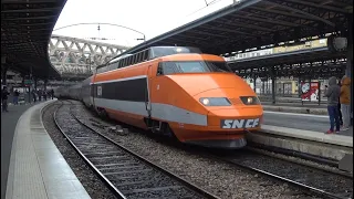Farewell tour of the TGV Sud-Est in Paris-Est station