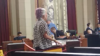 2016 11 08 Venice Beach BID Hearing at the Los Angeles City Council