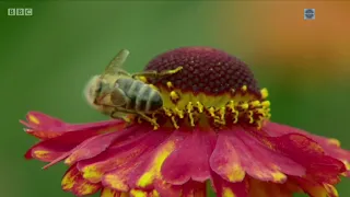 Gardeners' World 2021 Winter Specials Episode 04 (12 Mar 2021)