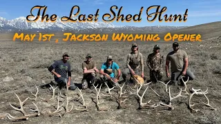 The Last Shed Hunt, Jackson Hole Wyoming Opener!