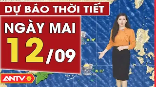 Dự báo thời tiết ngày mai 12/9: Hà Nội mưa rào và dông rải rác, cục bộ có mưa to | ANTV