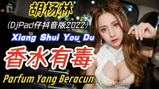 胡杨林 - 香水有毒 (DjPad仔抖音版2022) Xiang Shui You Du【Parfum Yang Beracun/ Perfume is Poisonous】- Terjemahan