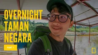 It's like Nat Geo: Overnight at Taman Negara Rainforest. Malaysia. Part 1.
