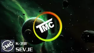 ♣K-391-SEVJE♣ [TMC]