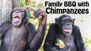 Family BBQ with Chimpanzees | Myrtle Beach Safari