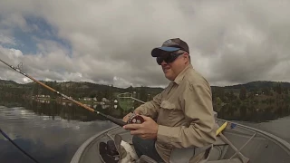 Rainbow Trout in Lake Curlew