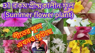 31types of summer plants in my garden/৩১ রকম গ্রীষ্মকালীন গাছ আমারবাগানে@anirbanbandyopadhyay5734