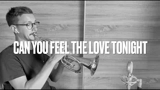 Can You Feel The Love Tonight (Elton John) - Trumpet Cover