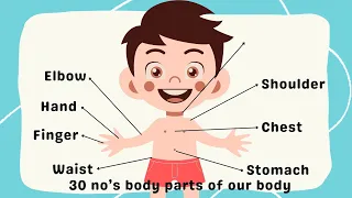 Kids vocabulary  Body  parts of the body -LearnEnglish for kids -English educational video#kidzone