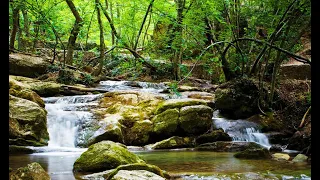 Hudba k úlevě od bolesti hlavy | Příznivé zvukové vlny k očištění veškerého stresu a uvolnění mozku