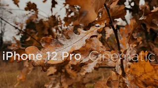 iPhone 12 Pro Cinematic Video Dolby Vision HDR 10 bit | My Autumn