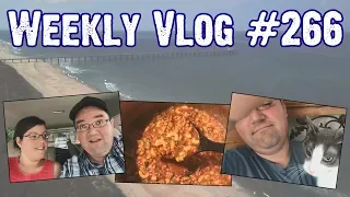 Weekly Vlog #266 - Cruise Prep, Sushi Eating, Drone Practice, Cat Footage, Walmart Haul - ParoDeeJay