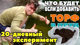 ПОМОГАЕТ ЛИ ТОРФ В БОРЬБЕ С ЦВЕТЕНИЕМ ВОДЫ: 20-ДНЕВНЫЙ ЭКСПЕРИМЕНТ