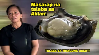 The best oyster in Aklan!