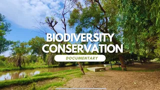 Biodiversity Conservation: Understanding the Importance of Preserving our Planet's Ecosystems