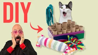 Make Your Cat Happy with DIY Cat Toys