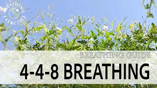 Relax and focus | 4-4-8 Breathing exercise | Breathing Exercises