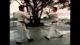 "The Way of the Warrior: Tai Chi, the Soft Way" (Entire Video)