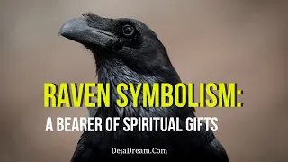 Raven Symbolism: A Bearer Of Spiritual Gifts