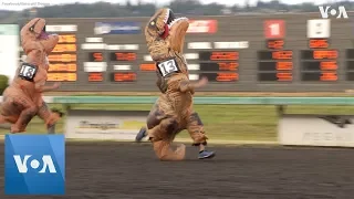 Hilarious T-Rex Race Kicks off in Washington State