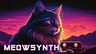 Meowsynth 🐱 Synthwave | Retrowave | Cyberpunk [SUPERWAVE] ✨ Relaxing music for stress relief