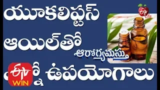 Surprising uses of  Eucalyptus | Aarogyamastu | 20th February 2020 | ETV Life