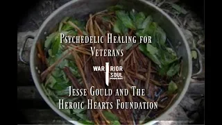 #Psychedelic Healing for #Veterans: Jesse Gould's Heroic Hearts Foundation | Warrior Soul Podcast