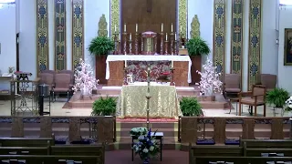 Weekday Mass (Tuesday - 5th Easter) - 8 a.m. EDT -  April 30, 2024 - St. Joseph Catholic Church