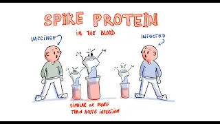 Study Review - Spike Protein In The Blood of Vaccinated (Firm Data from Stanford)