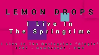 LEMON DROPS-I Live In The Springtime (vinyl)