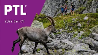 UTMB Mont-Blanc 2022 - PTL : Highlights