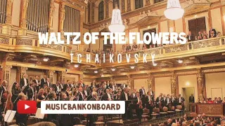 WALTZ OF THE FLOWERS - TCHAIKOVSKY