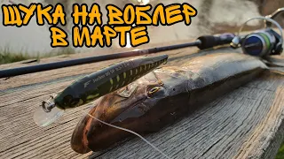 ДЖОКЕР для ЩУКИ - она любит этот ВОБЛЕР!! ТВИЧИНГ ВЕСНОЙ!!!