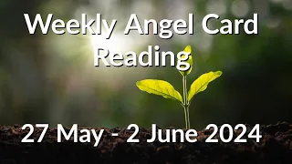 Weekly Angel Card Reading 27 May - 2 June 2024 😇 Manifesting Your Seeds Of Intention 🌱