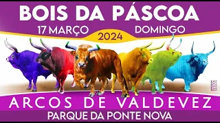 🇵🇹  Bois da Páscoa 2024 - Arcos de Valdevez