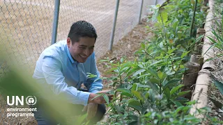 #climateaction and the cloud forests of Xalapa, Mexico