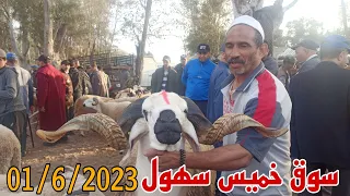 حولي اليوم مباشرة  سوق خميس سهول جهة سلا رباط 1/6/2023