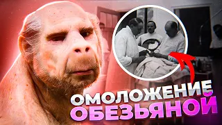 ОБЕЗЬЯНКА ДЛЯ СТАРИКОВ  - Что пересаживал пациентам прообраз профессора Преображенского