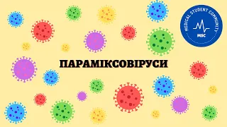 ПАРАМІКСОВІРУСИ: вірус парагрипу, вірус паротиту, вірус кору, респіраторно-синцитіальний вірус