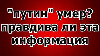 Путин умер. Правдива ли эта информация?